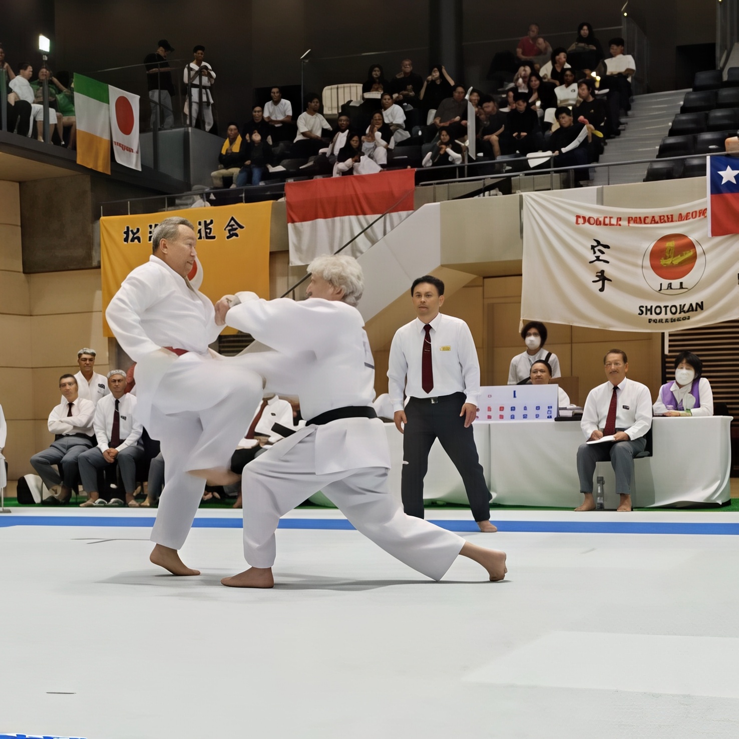 Sensei Alfie Competing at the Funakoshi Cup 01 gigapixel recover v2 2x faceai v2